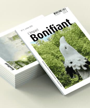Le magazine l'Impact Bonifiant - Les 4 numéros en version digitale